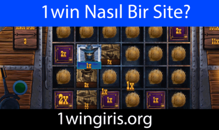 1win nasıl bir site olduğunu net şekilde göstermektedir.